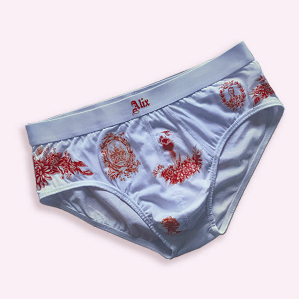 Slip imprimé Toile de Jouix